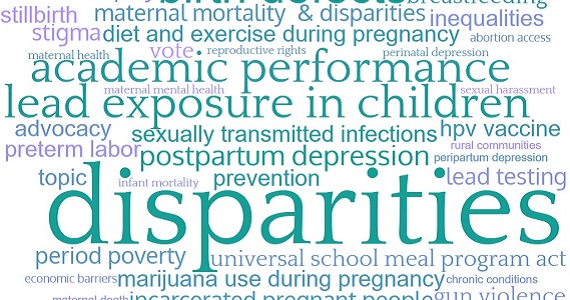 Wordcloud of maternal and child health issues including lead exposure, postpartum depression, and maternal morality
